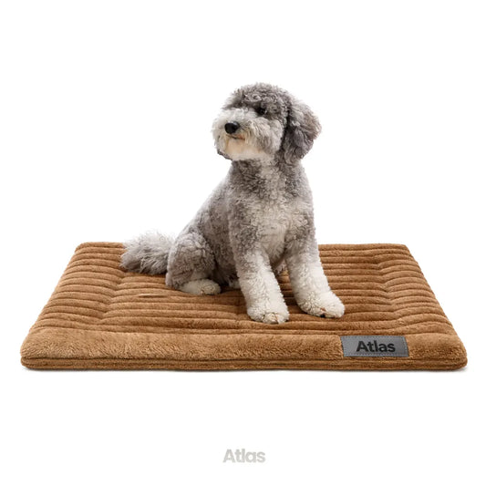 Self Heating Thermal Pet Bed